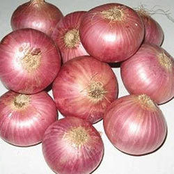 Small Fresh Red Onions
