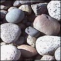 Mix Colored River Bed Pebbles