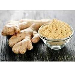 Ginger Powder