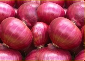 Red Onions