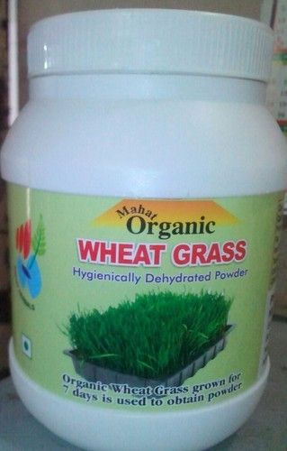 Wheat Grass Hygienically Dehydrated Powder