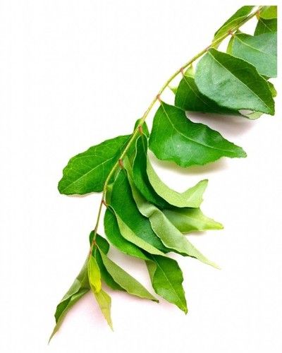 Curry Leaves