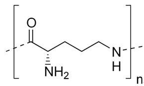 Epsilon Polylysin