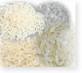 Indian White Rice (non basmati rice)