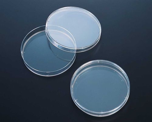 Plastic Petri Dish - 90 x 15 mm | Unbreakable, Lightweight, Thermal Stability