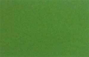 Parrot Green Paint (DF 038)