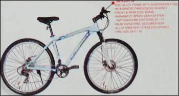 Skylight 29" Bicycles