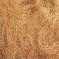 Coconut Coir Fibre