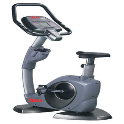 Commercial Upright Bike (Up 1071)