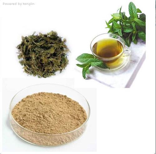 Green Tea Extracts