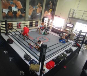 Boxing Rings - High Resistance Iron and Carbon Steel, Customizable Non-Slip Canvas with Logo Printing, Elevated Access Stairs and Tatami Mats