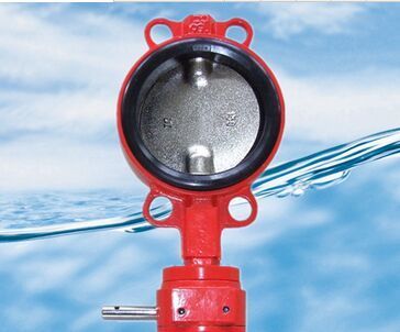 Wafer Type Double Half Shaft Butterfly Valve Without Pin