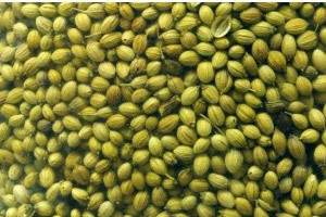 Dhaniya Seeds