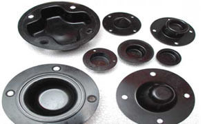 Molded Diaphragm