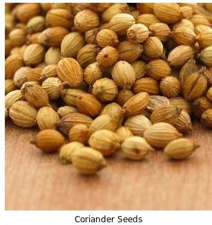 Coriander Seeds