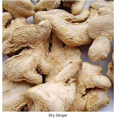 Dry Ginger