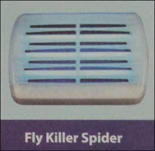 Fly Killer Spider