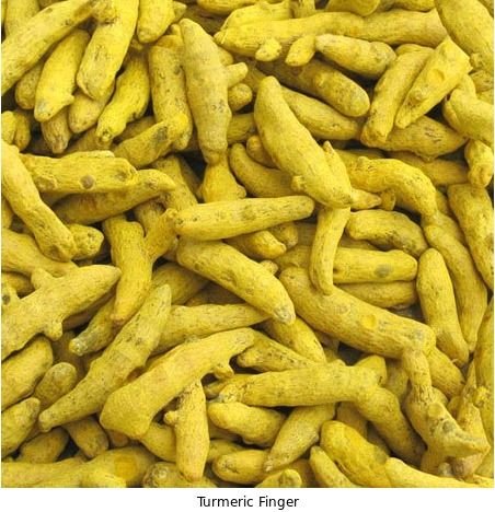 Turmeric Finger - High Medicinal Value, Expertly Processed for Culinary & Health Benefits