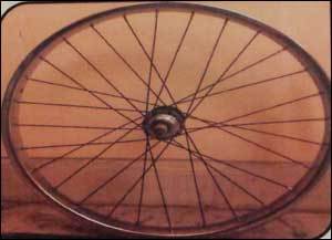 Heavy Duty Bicycle Spokes