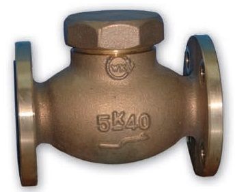 Lift Check Valve