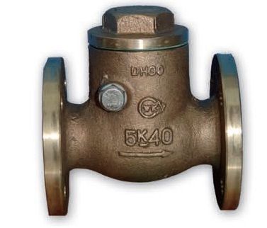 Swing Check Valve