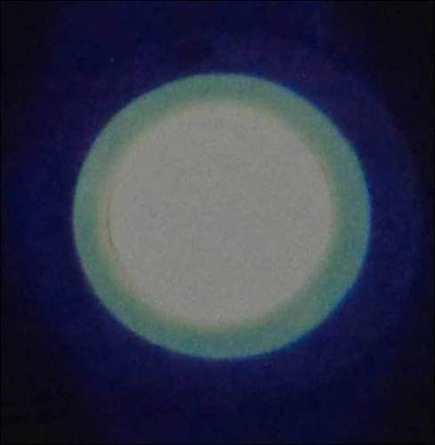 लाइट मोड व्हाइट और कलर दोनों