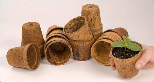 Designer Coir Pot