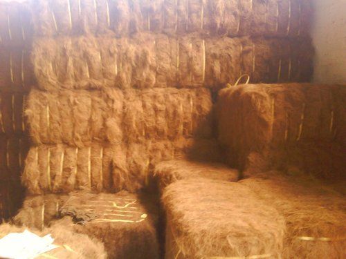 Industrial Coir Fiber