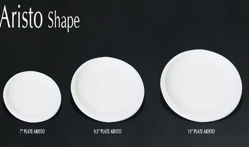 Bone China Crockery (BTH-1289)