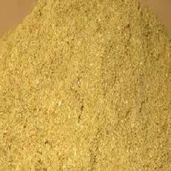 Coriander Powder