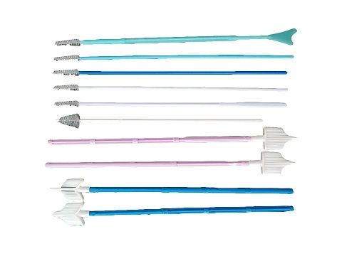 Disposable Cervix and Cervical Brush