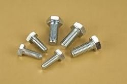 Ss Allen Cap Bolts