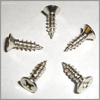 Stainless Steel CSK Phillips Self Tapping Screw