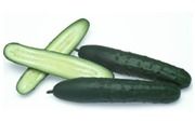 Brass American Slicer Cucumber