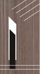 Laminated Doors (A 192)