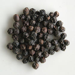 Black Pepper Seeds