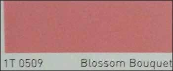 Blossom Bouquet Pink Color Wall Paint