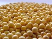 Soybeans