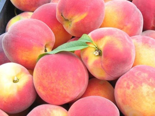 Fresh Peaches By aznav