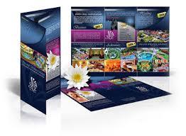 Brochure Designing Services