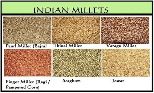 Indian Millet