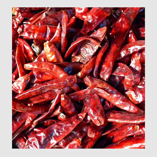 Whole Stemless Chilli at Best Price in Virudhunagar, Tamil Nadu | The ...