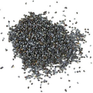 Poppy Seed - Grade A Quality Oilseed, Tiny Kidney-Shaped Seeds Harvested from Dried Pods