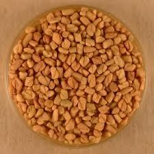 Fenugreek