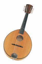 Traditional Bluegrass Mandolin