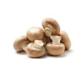 Dry Packed Mushroom
