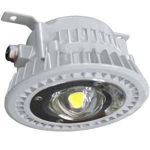 Flame Proof LED Lights