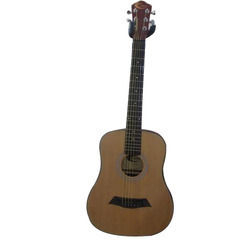 Semi Acoustic Guitar