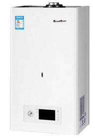 Wall Mounted Gas Boiler