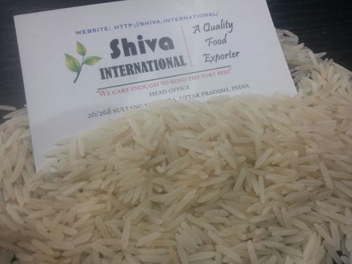 SHIVA Rice